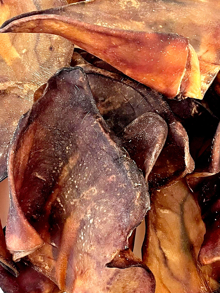Are Dried Pig Ears Safe For Dogs 5 Reasons Why They Are? RiversidePet