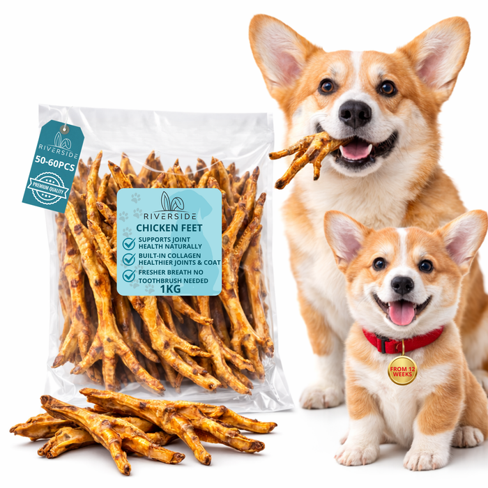 Chicken Feet for Dogs - Natural Joint Support Chew with Collagen & Glucosamine