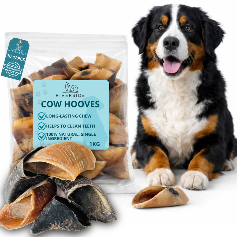 COW HOOVES