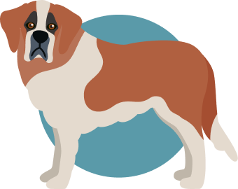 Saint Bernard illustration