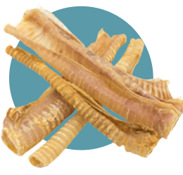 8 Beef Trachea