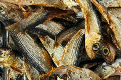 Fish